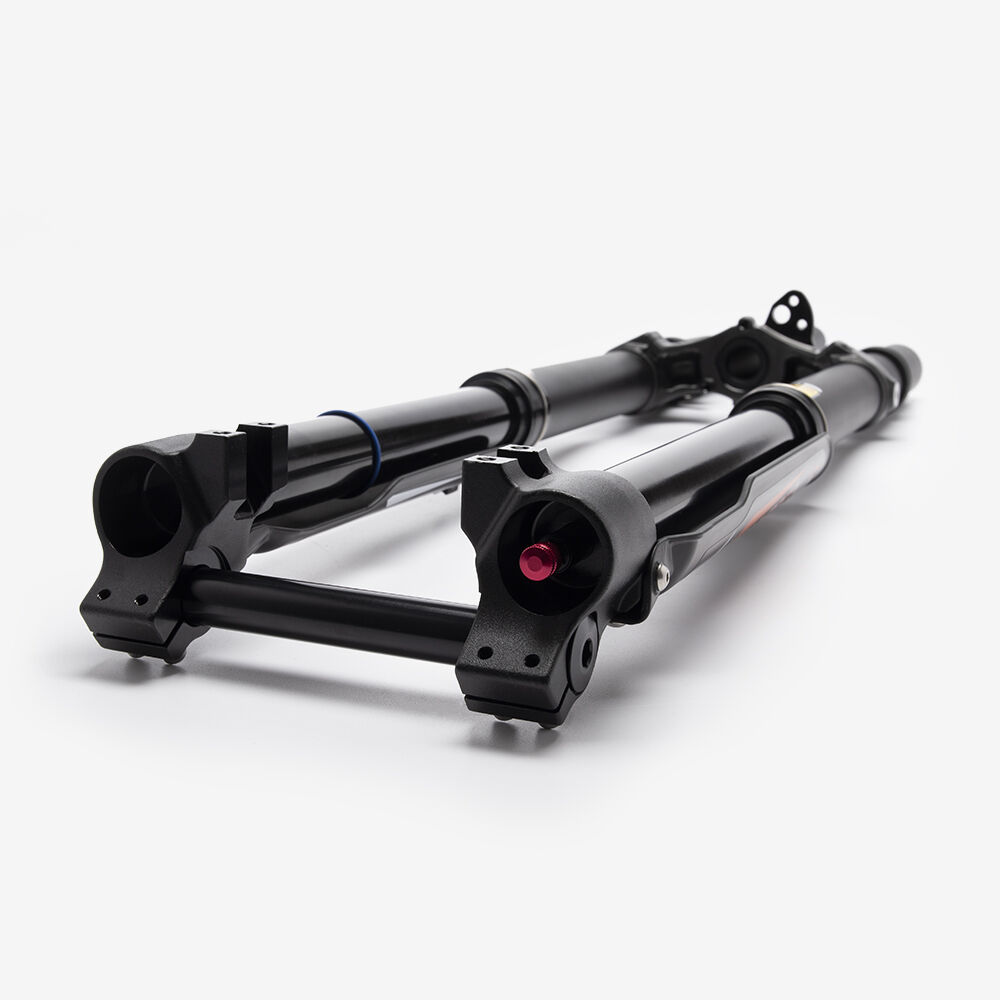 DNM Front Fork Assembly - Image 4